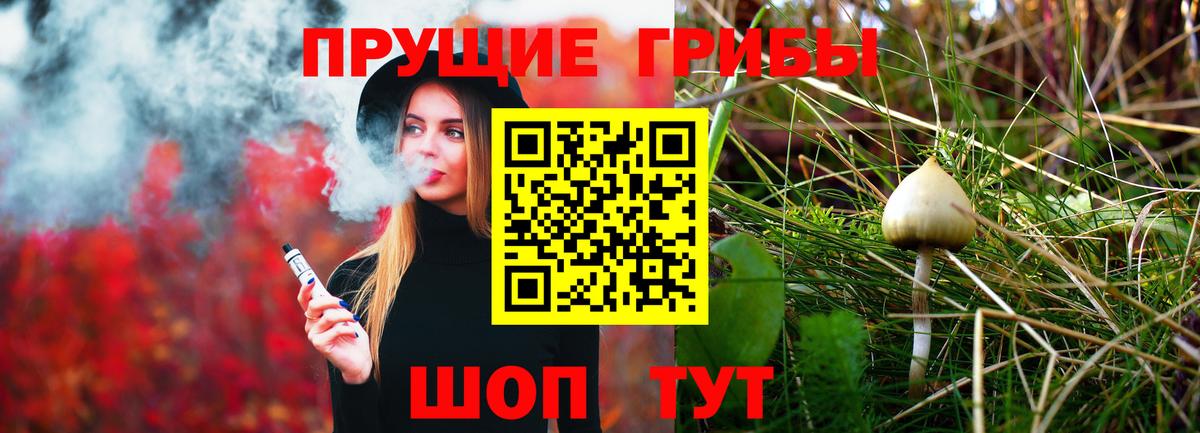 Галлюциногенные грибы Psilocybine cubensis Кострома